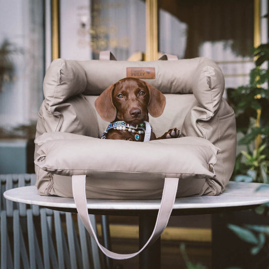 Luxe Faux Leather Pet Car Seat & Booster Bed - Urban Voyager