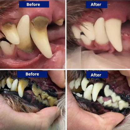 CaniLab - Dental Scaler for dogs