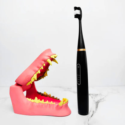 CaniLab - Dental Scaler for dogs