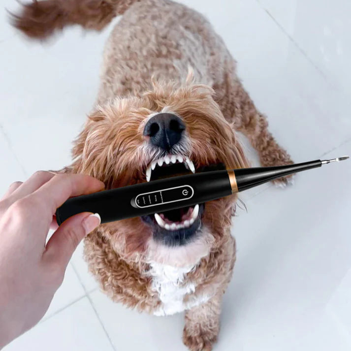 CaniLab - Dental Scaler for dogs