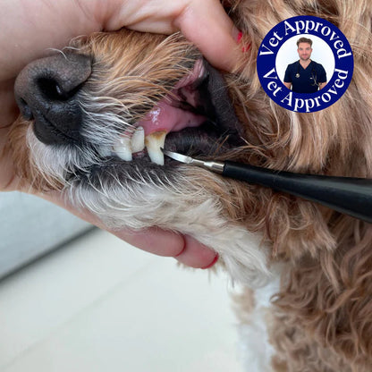 CaniLab - Dental Scaler for dogs